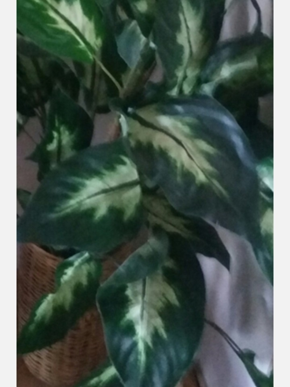 Artificial Green and Cream Foliage Accent - Home Accents